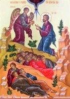 Nedila po Bohojavleni 1