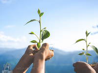 environmental conservation garden children 9a900