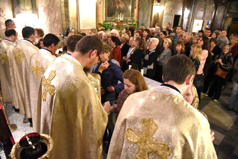 Olyvopomazannia 2016